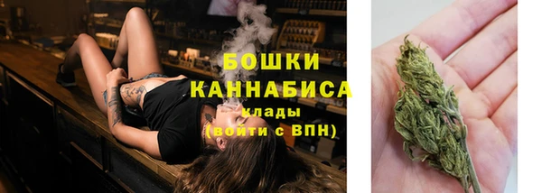 стаф Баксан