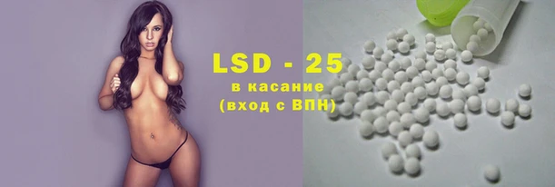 стаф Баксан