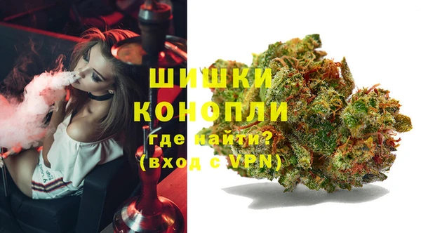 стаф Баксан