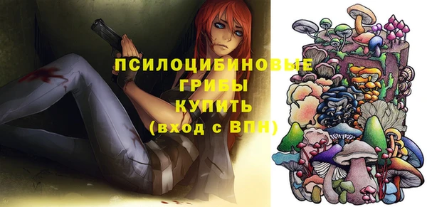 стаф Баксан