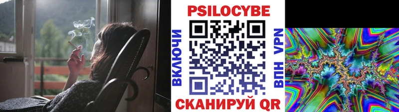 hydra   Барыш  Галлюциногенные грибы Psilocybe 
